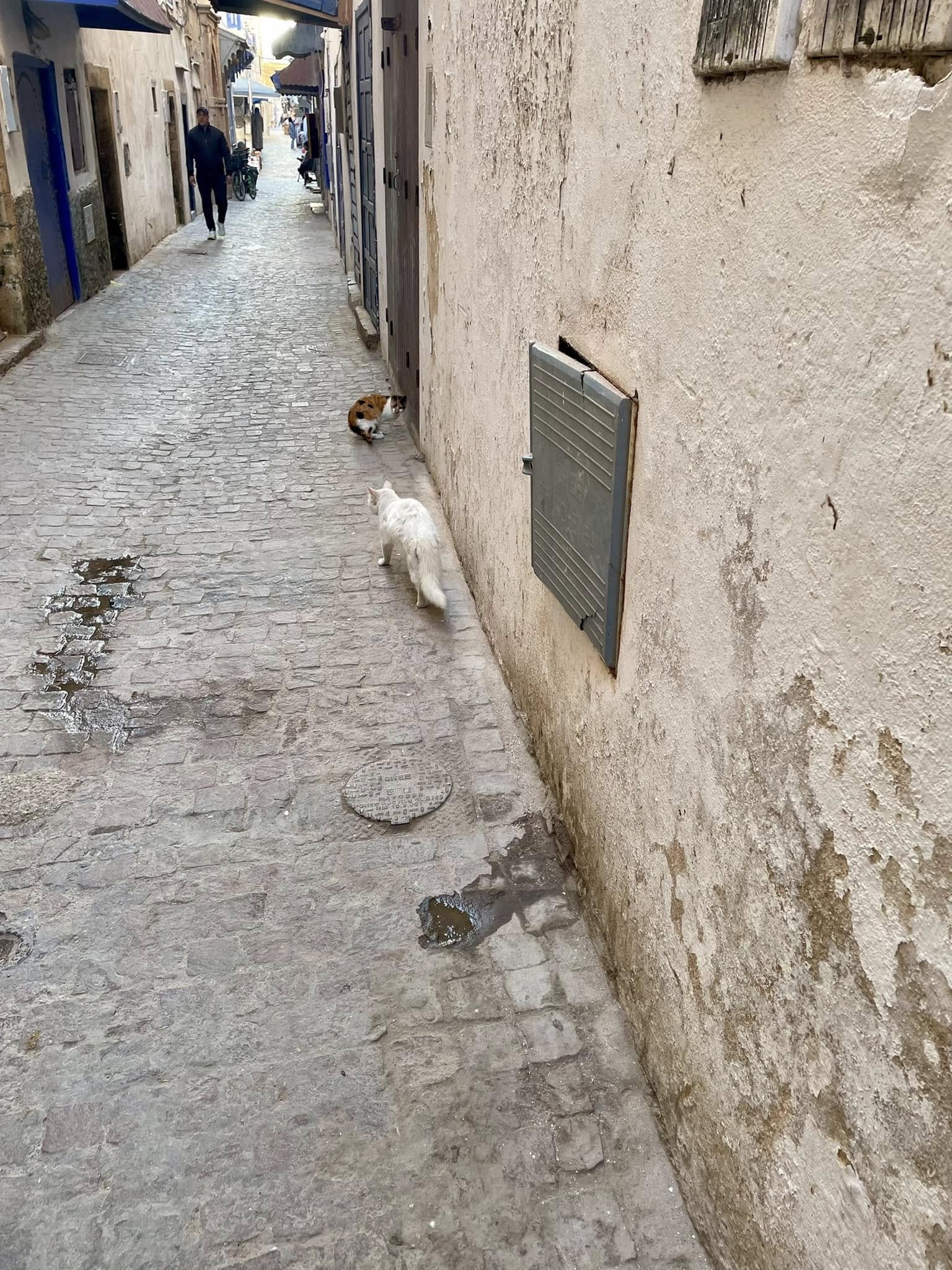 Essaouira
