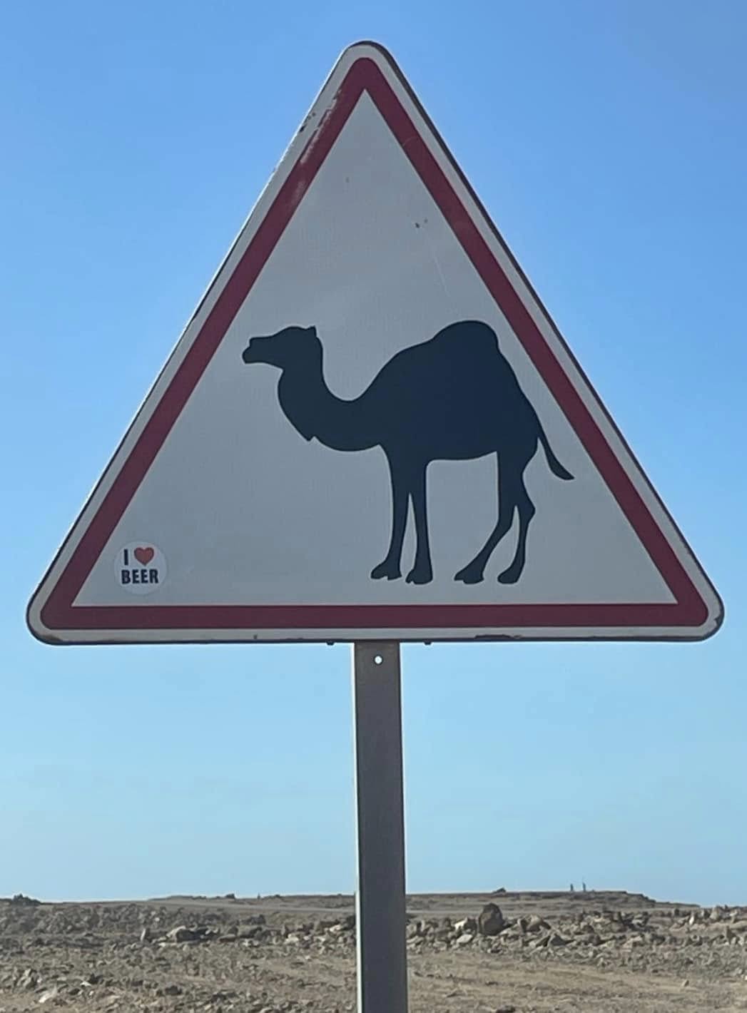 Warning Camels!