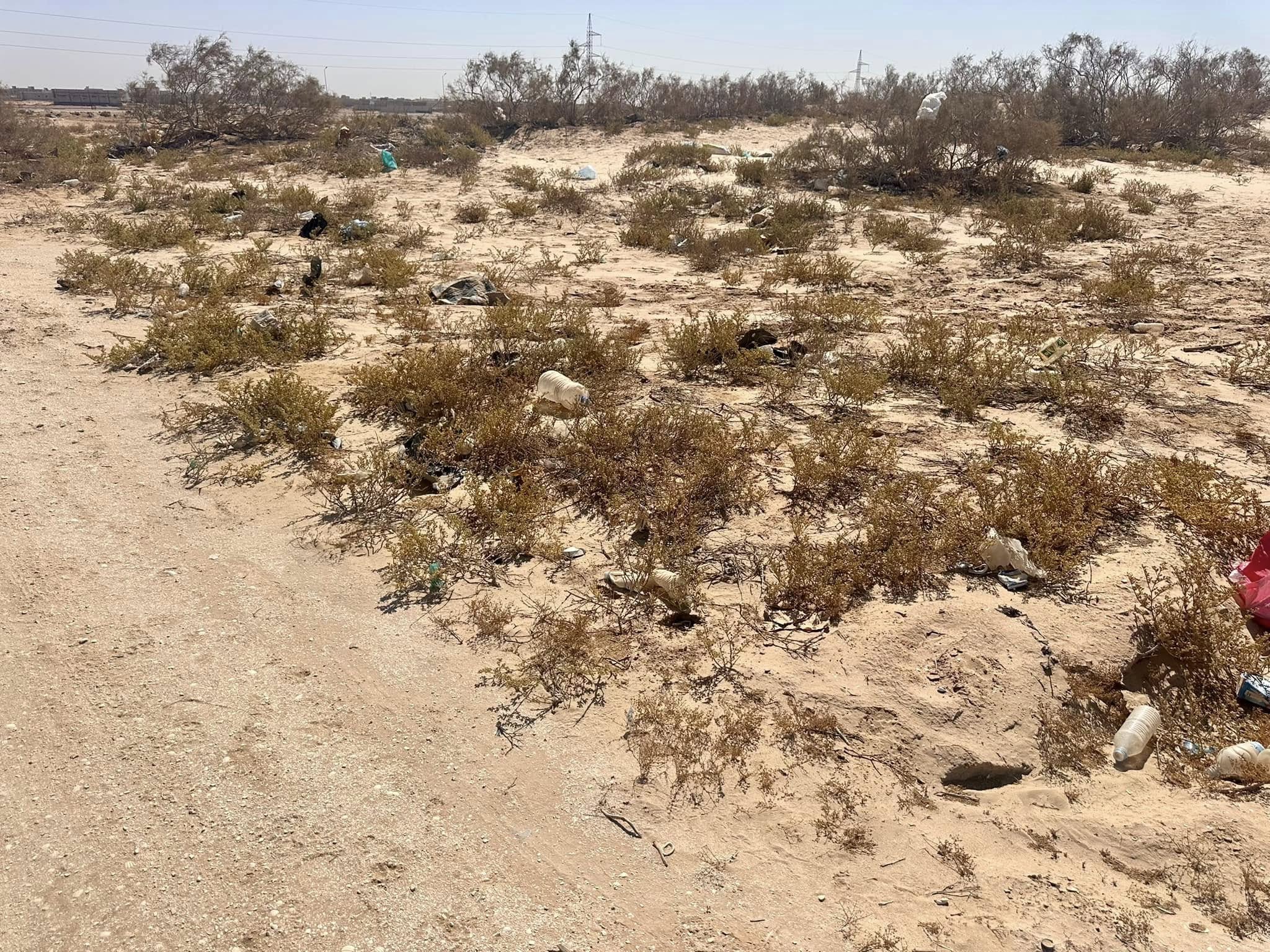 THE SCENE OF THE ROBBERY!