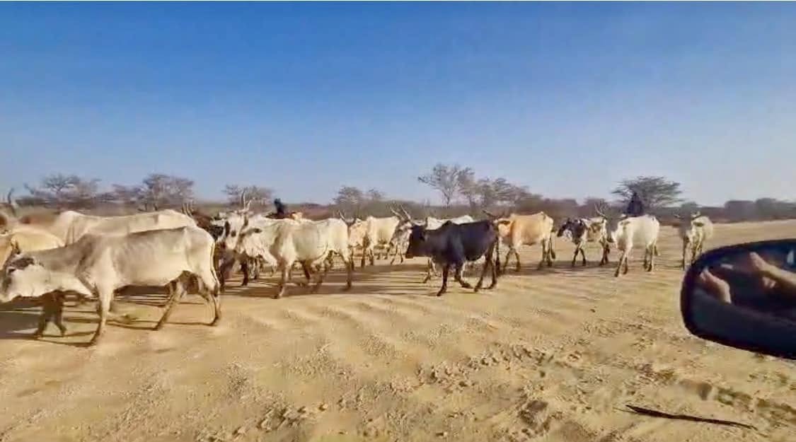 Approach to the border out of Mauritania