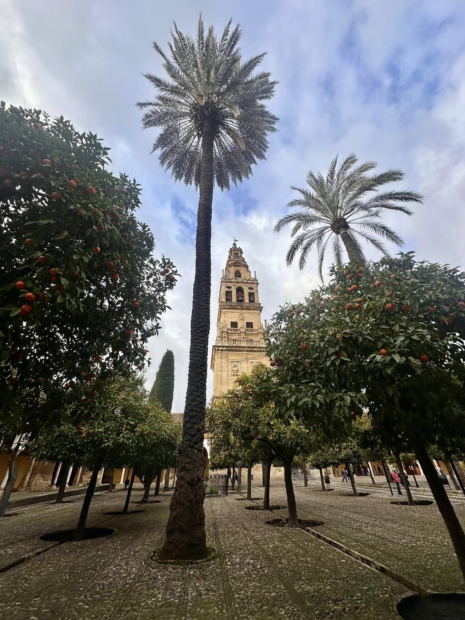 Mosque/Cathedral, Cordoba