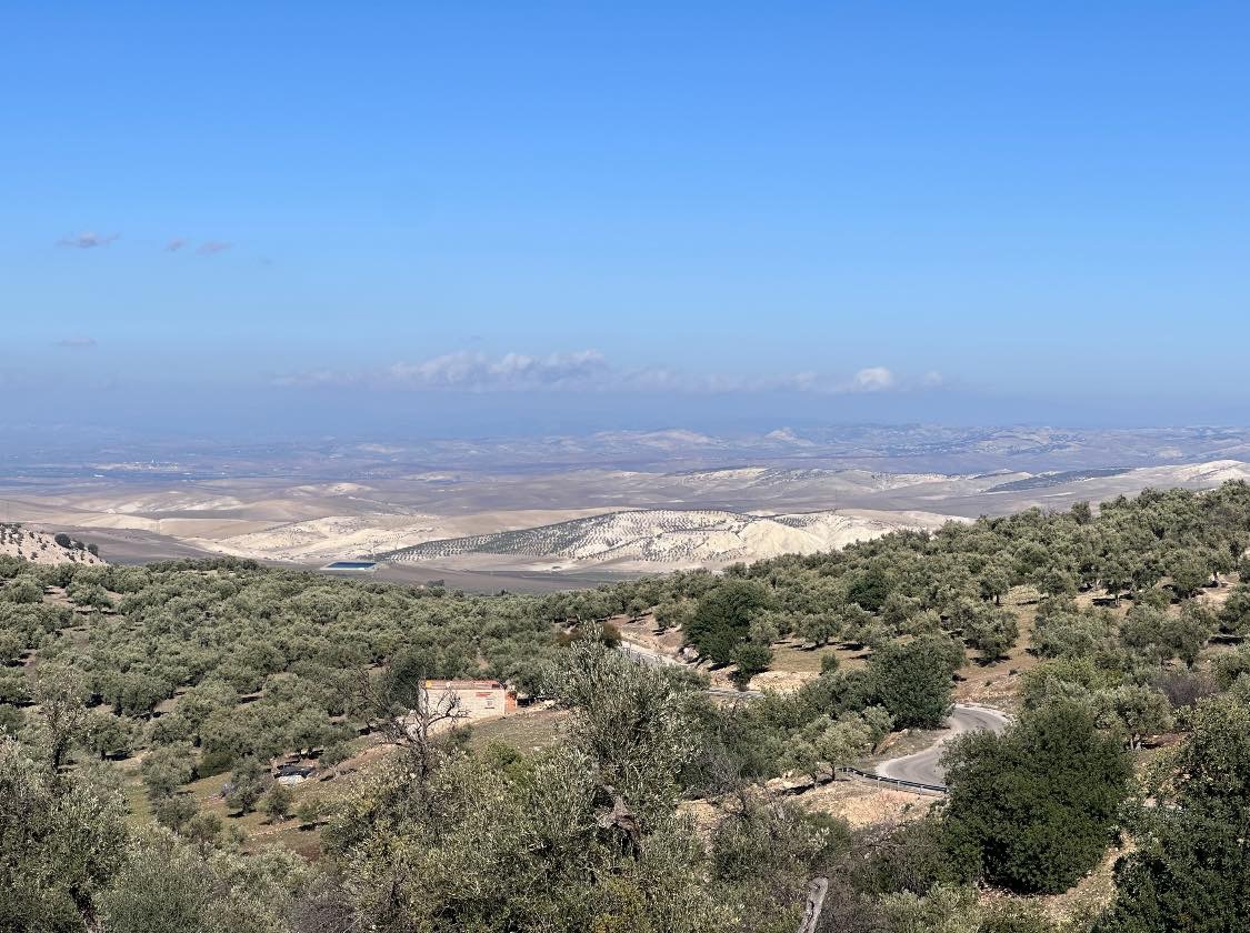 On the way to Meknes